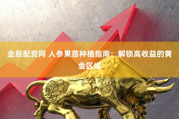 金股配资网 人参果苗种植指南：解锁高收益的黄金区域