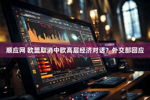 顺应网 欧盟取消中欧高层经济对话？外交部回应