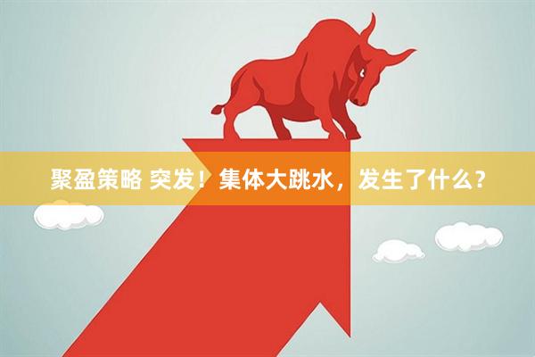 聚盈策略 突发！集体大跳水，发生了什么？