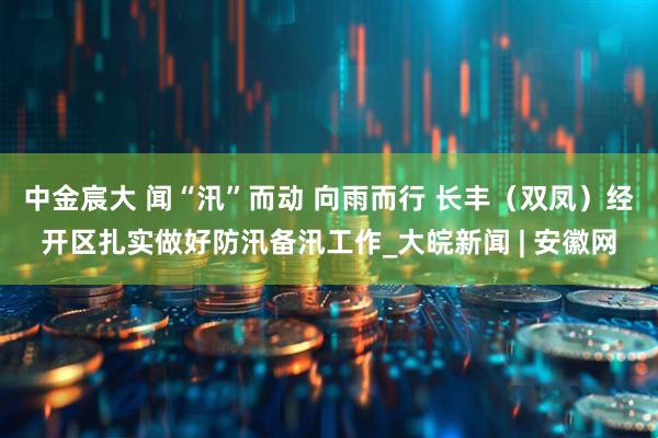 中金宸大 闻“汛”而动 向雨而行 长丰（双凤）经开区扎实做好防汛备汛工作_大皖新闻 | 安徽网