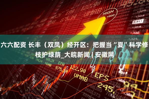 六六配资 长丰（双凤）经开区：把握当“夏”科学修枝护绿荫_大皖新闻 | 安徽网