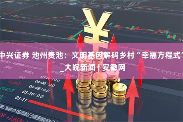 中兴证券 池州贵池：文明基因解码乡村“幸福方程式” _大皖新闻 | 安徽网