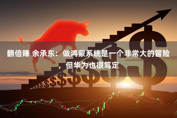 翻倍赚 余承东：做鸿蒙系统是一个非常大的冒险，但华为也很笃定