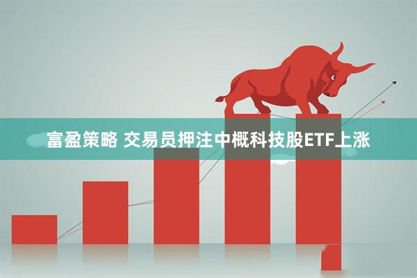 富盈策略 交易员押注中概科技股ETF上涨