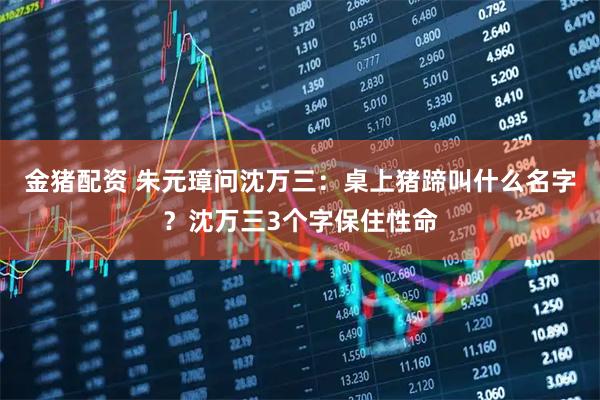 金猪配资 朱元璋问沈万三：桌上猪蹄叫什么名字？沈万三3个字保住性命