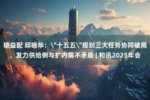 稳益配 邱晓华：＂十五五＂规划三大任务协同破局，发力供给侧与扩内需不矛盾 | 和讯2025年会